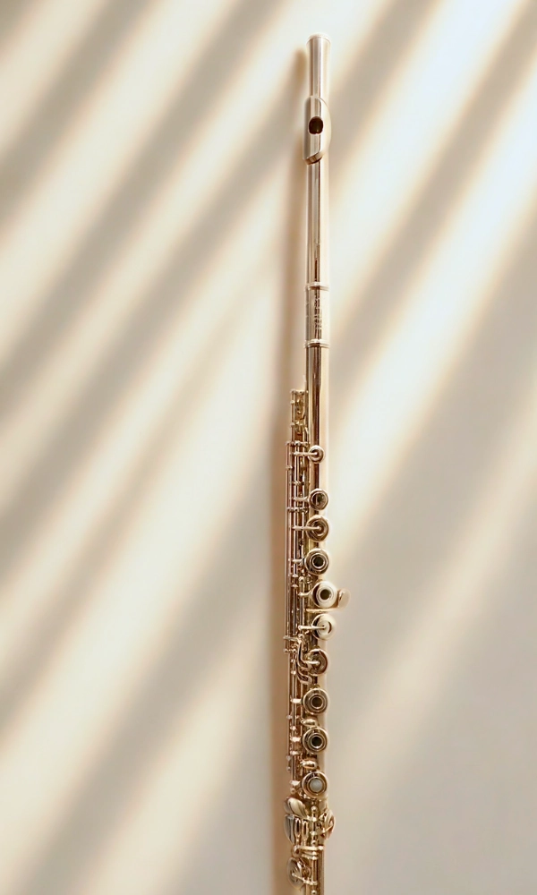 sd flute lessons