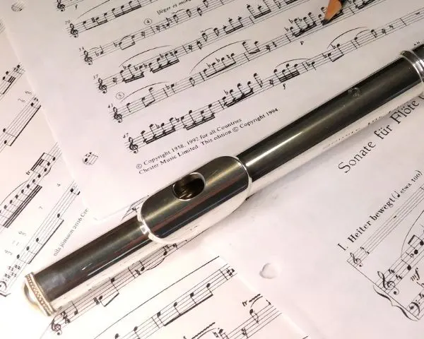 SD Flute Lessons website