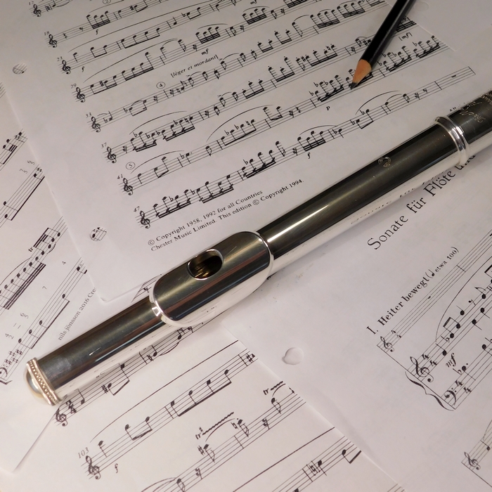 SD flute lessons